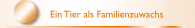 Ein Tier als Familienzuwachs