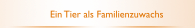 Ein Tier als Familienzuwachs