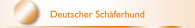 Deutscher Sch&auml;ferhund