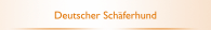 Deutscher Sch&auml;ferhund