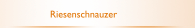 Riesenschnauzer